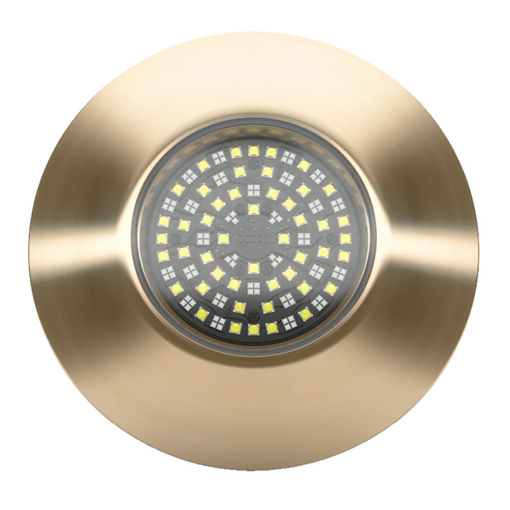 Lumishore SUPRA THX804 ThruHull Light  Driver 0100451800