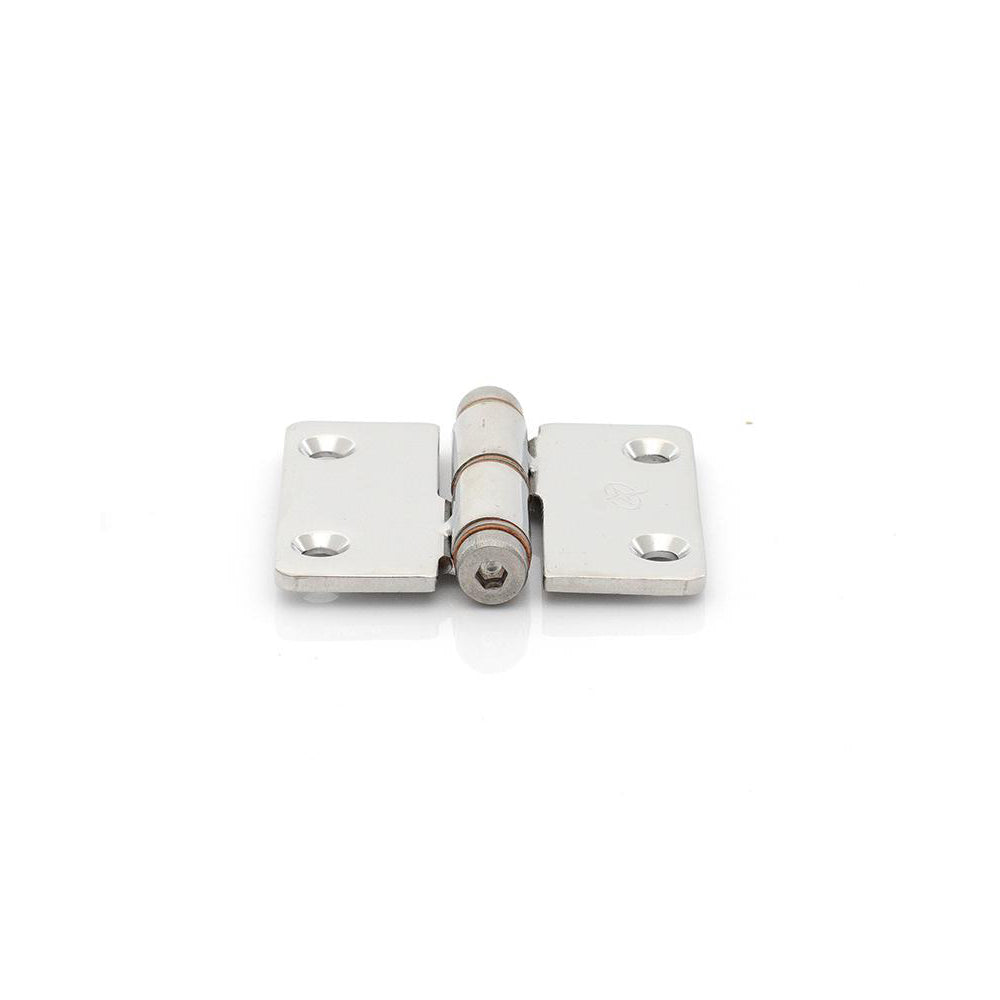 Marine Grade Friction Hinge 2.32"X2" TM