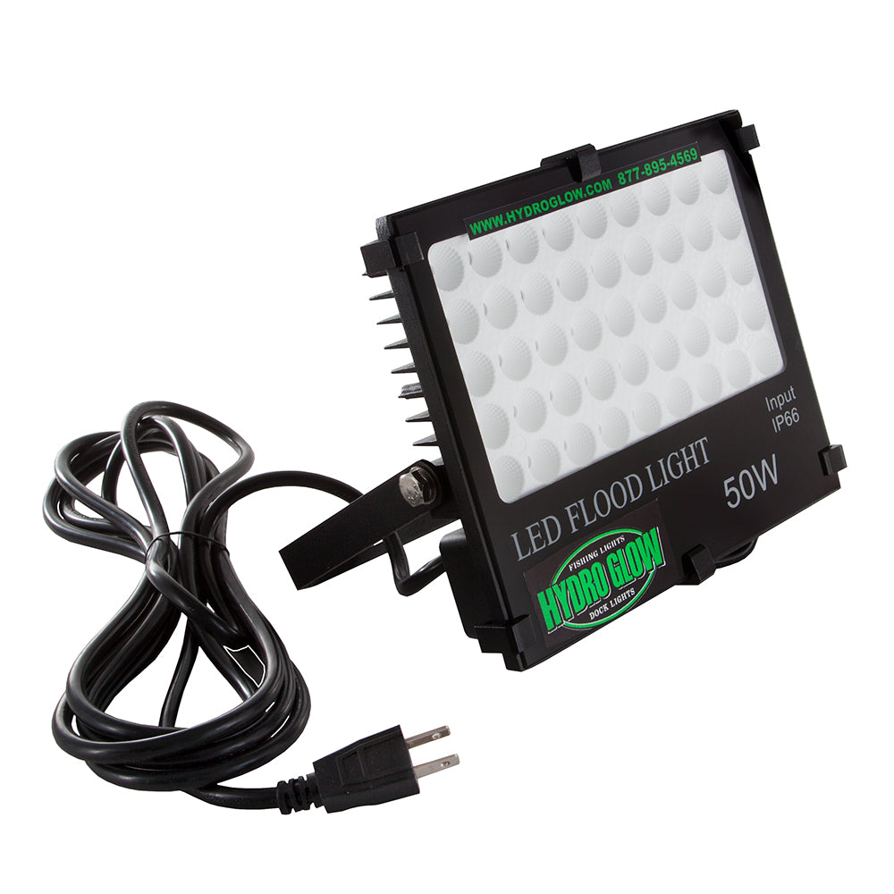 Hydro Glow FL50 50W120VAC Flood Light  Green FL50