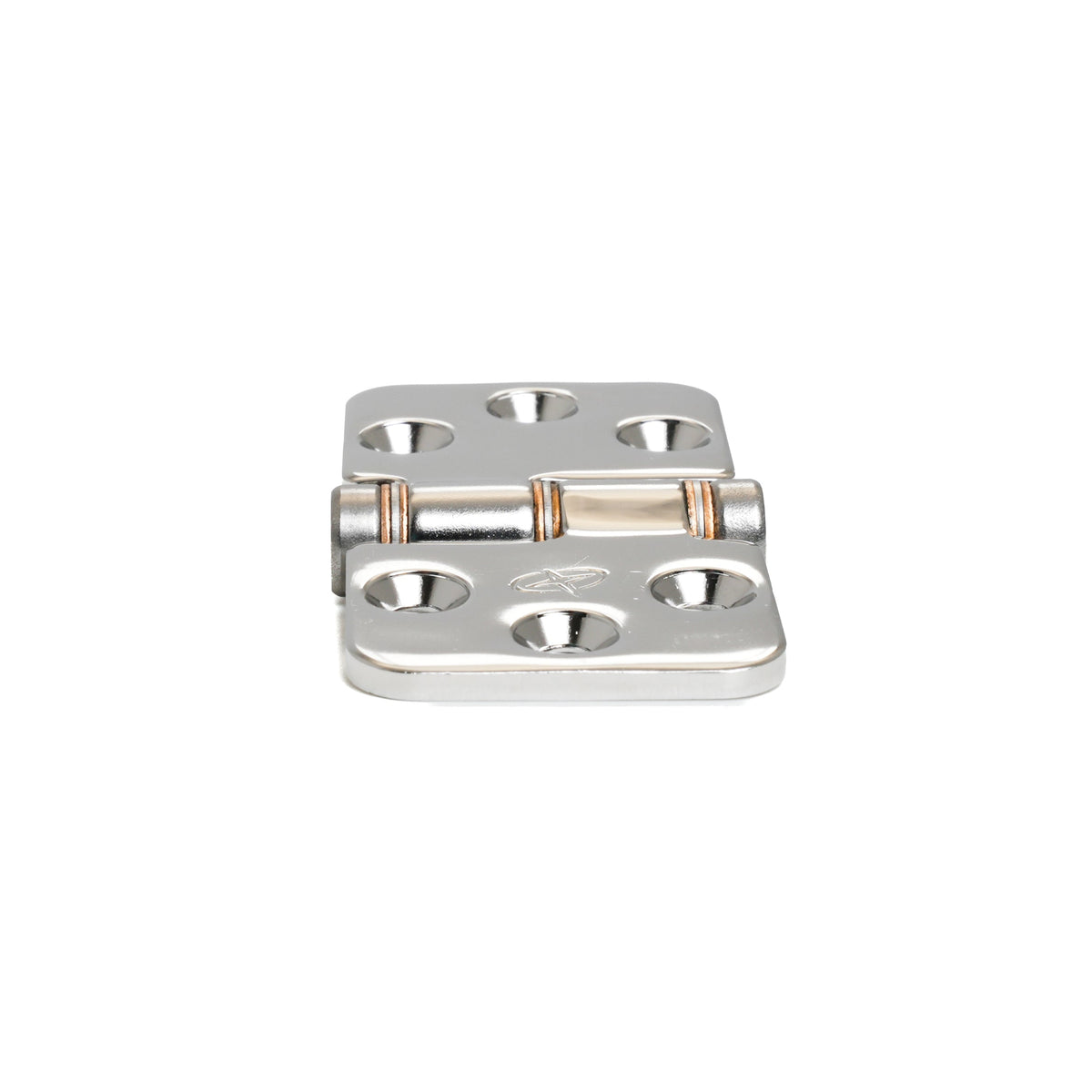 Swaged Down Friction Hinge 2.86"x1.5"
