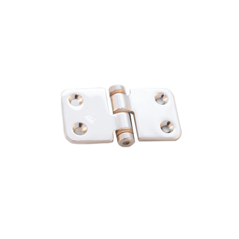 Friction Hinge 2.86"x1.5" SD