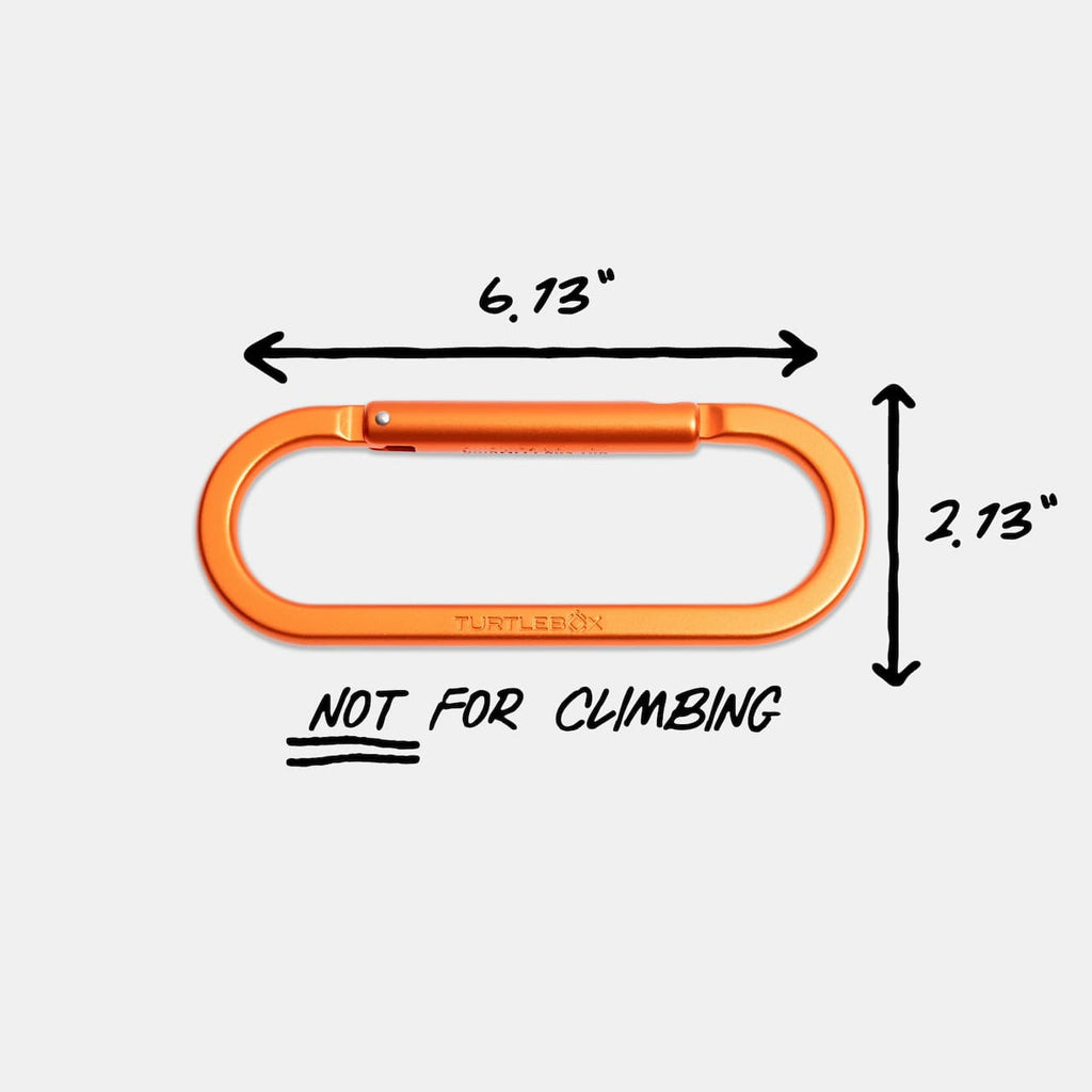 Turtlebox Carabiner — top view