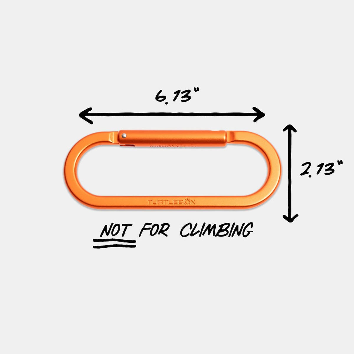 Turtlebox Carabiner — top view