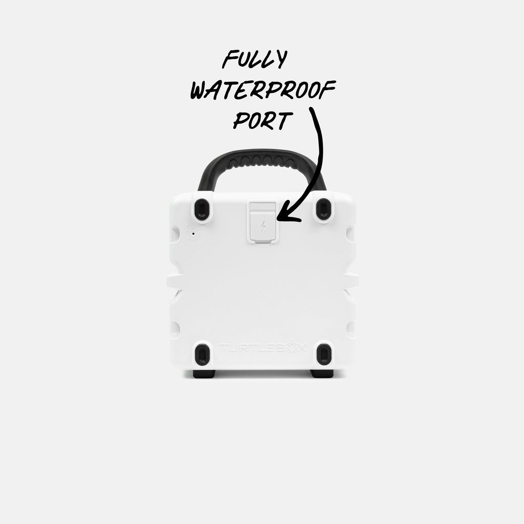 Turtlebox Cub Portable Speaker — back